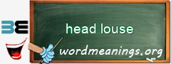 WordMeaning blackboard for head louse